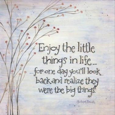 enjoy-the-little-things-quotes