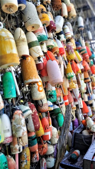 Boat Bumpers_Appalach. 2019 2